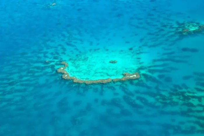 Framed Print : Shallow coral reef seen from above Framed Print : Shallow coral reef seen from above