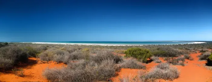 Framed Print : shark bay Framed Print : shark bay