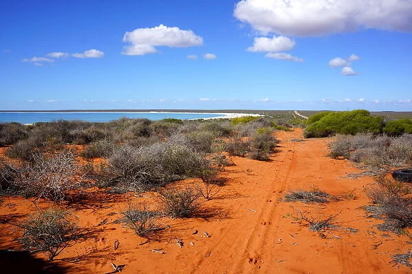 Shark Bay and outback scenery