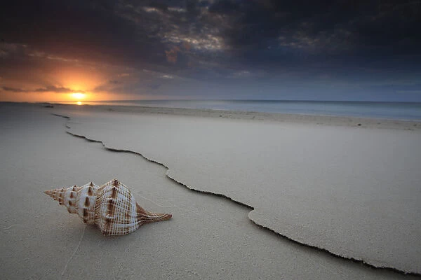 The Shell. This image was taken on the western side of Fraser Island -