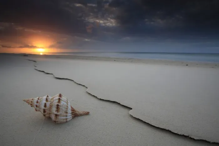 Framed Print : The Shell. This image was taken on the western side of Fraser Island -