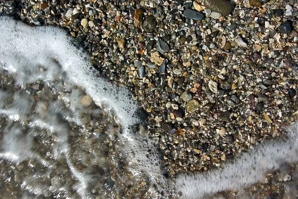 Foam. Shells and pebbles on beach in Mooloolaba