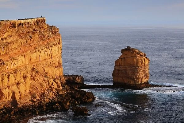 Sheringa cliffs. Eyre peninsula. South Australia