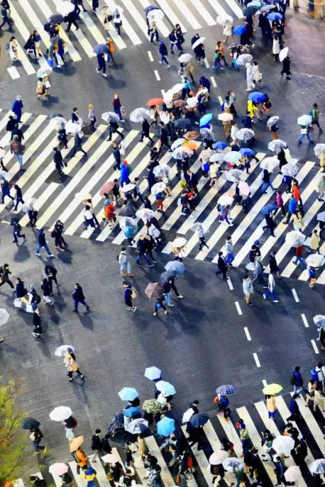 Framed Print : Shibuya crossing, Tokyo