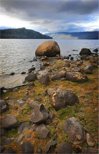The shoreline of Lake St. Clair in the national park, central highlands of Tasmania