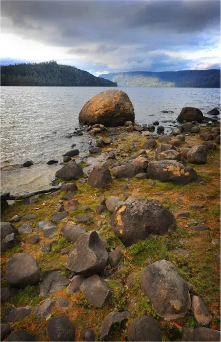 Framed Print : The shoreline of Lake St. Clair in the national park, central highlands of Tasmania