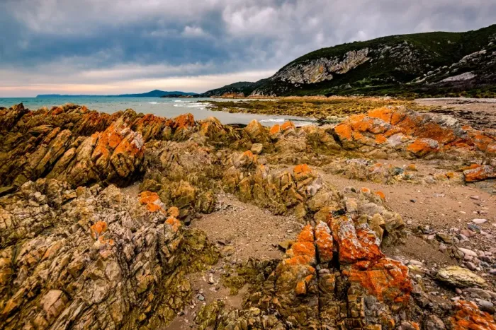 Framed Print : Shoreline at Rocky Cape, Tasmania