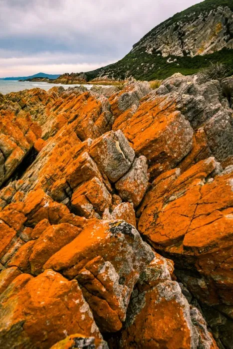 Framed Print : Shoreline at Rocky Cape, Tasmania