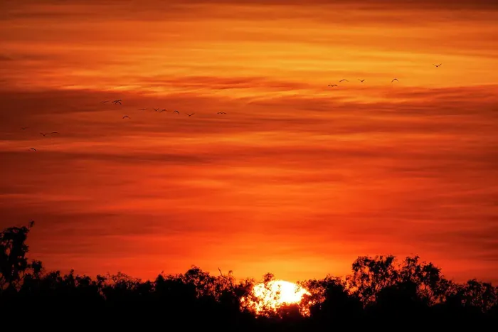 Framed Print : Silhouette of birds flying against orange sky
