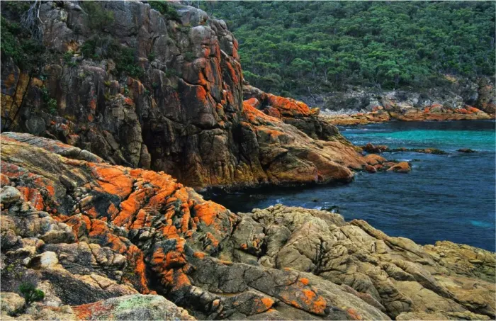Framed Print : Sleepy bay, Tasmania, Australia