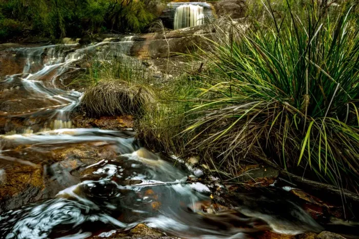 Framed Print : Small Creek in Karri Forest