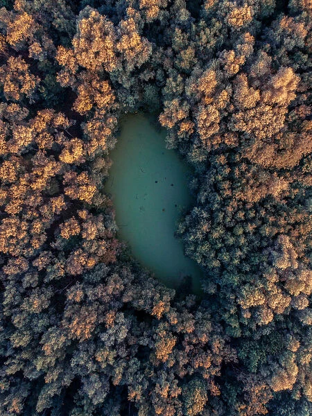 Small lake surrounded by autumn coloured trees, Belgium