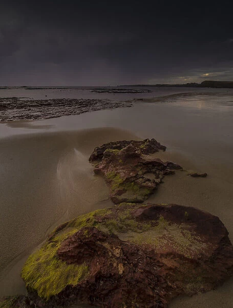 Smiths beach on a stormy morning, Phillip Island Bass Coast, Victoria, Australia