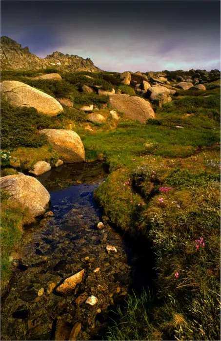 Framed Print : A snow melt pond, alpine New South Wales, Australia Framed Print : A snow melt pond, alpine New South Wales, Australia