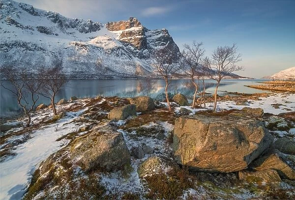 A snowy scene at Grotfjord in the winter, arctic circle of Norway