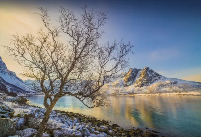 Framed Print : A snowy scene at Grotfjord in the winter, arctic circle of Norway