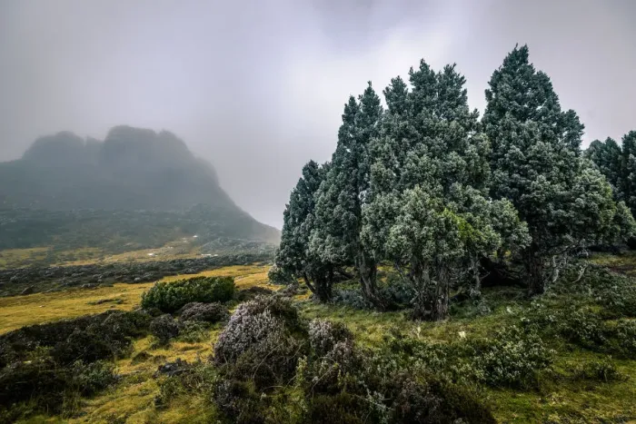 Framed Print : Solomons Throne in Walls of Jerusalem National Park, Tasmania