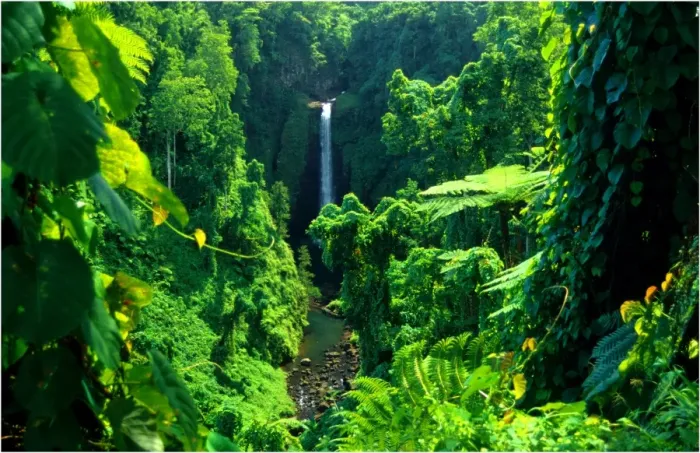 Framed Print : Sopuaga waterfall, The Island of Upolu, Western Samoa Framed Print : Sopuaga waterfall, The Island of Upolu, Western Samoa