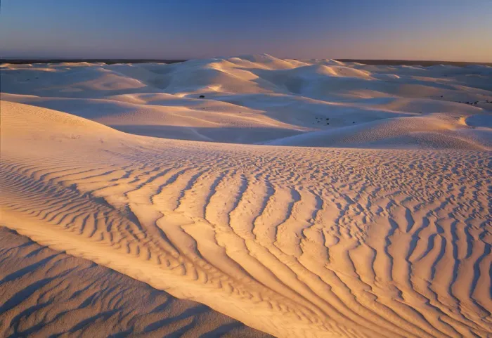Framed Print : South Australia, Nullarbor National Park, sand dunes at sunset Framed Print : South Australia, Nullarbor National Park, sand dunes at sunset