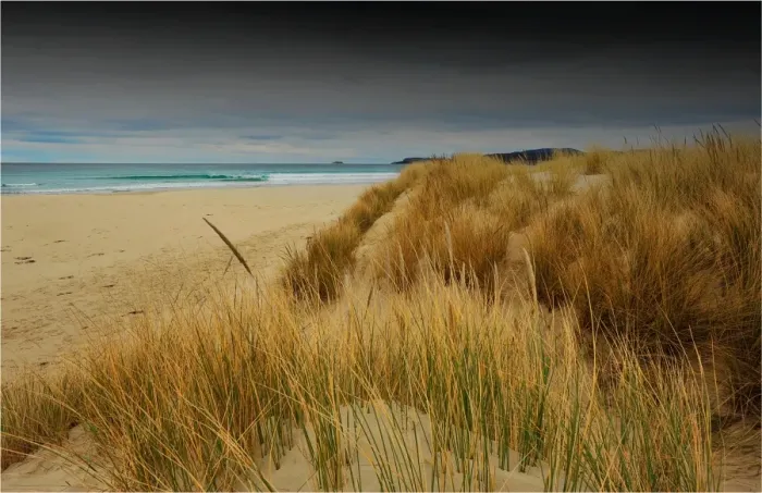 Framed Print : Southern beaches, Tasmania, Australia