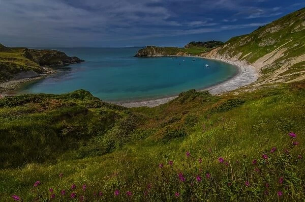 Spring at Lulworth Cove