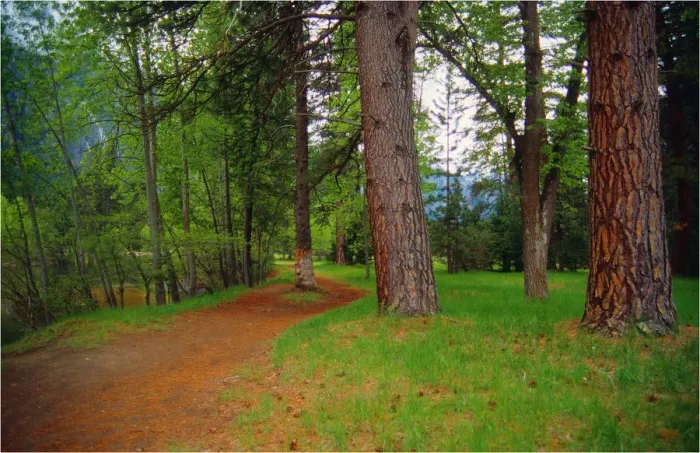 Framed Print : Spring-time in the Yosemite National Park, California, Western United States of America Framed Print : Spring-time in the Yosemite National Park, California, Western United States of America