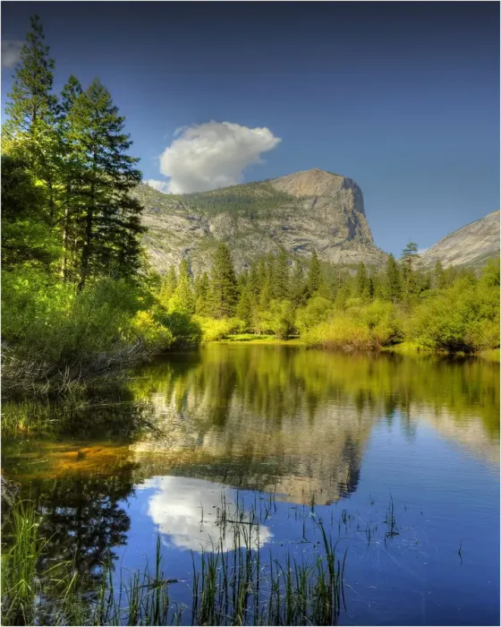 Framed Print : Spring-time in the Yosemite National Park, California, southern United States of America Framed Print : Spring-time in the Yosemite National Park, California, southern United States of America