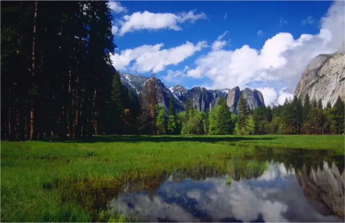 Framed Print : Spring-time in the Yosemite National Park, California, southern United States of America Framed Print : Spring-time in the Yosemite National Park, California, southern United States of America