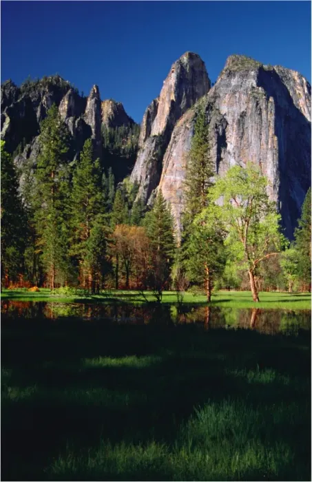 Framed Print : Spring-time in the Yosemite National Park, California, southern United States of America Framed Print : Spring-time in the Yosemite National Park, California, southern United States of America