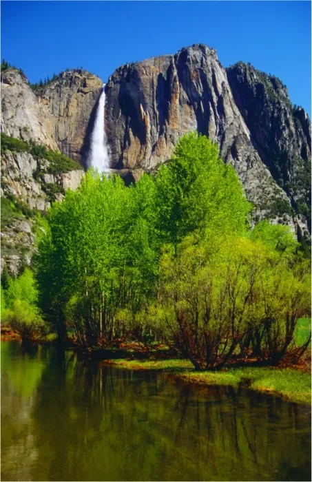 Framed Print : Spring-time in the Yosemite National Park, California, southern United States of America Framed Print : Spring-time in the Yosemite National Park, California, southern United States of America