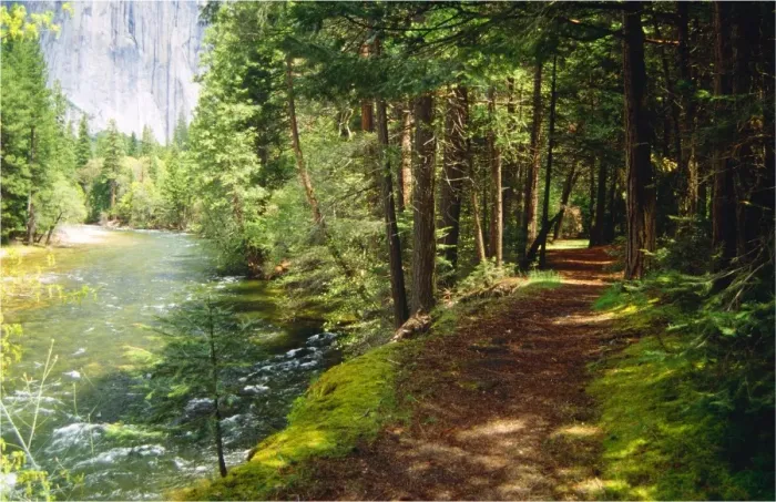 Framed Print : Spring-time in the Yosemite National Park, California, southern United States of America