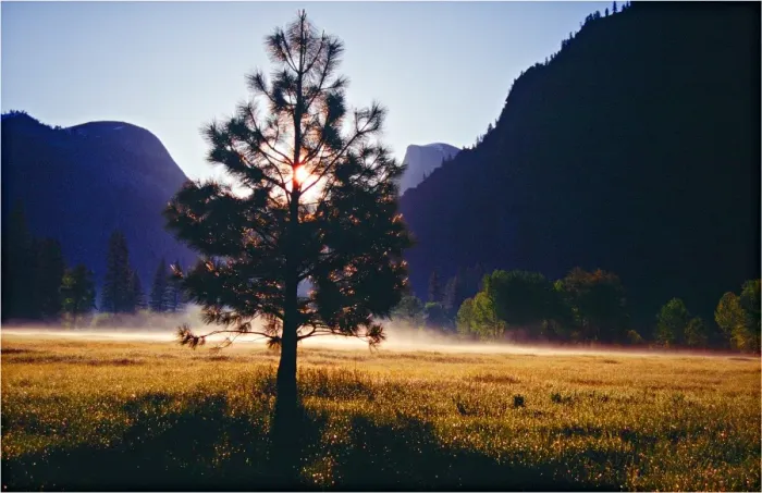 Framed Print : Spring-time in the Yosemite National Park, California, southern United States of America Framed Print : Spring-time in the Yosemite National Park, California, southern United States of America