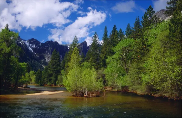 Framed Print : Spring-time in the Yosemite National Park, California, southern United States of America Framed Print : Spring-time in the Yosemite National Park, California, southern United States of America