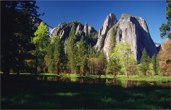 Spring-time in the Yosemite National Park, California, southern United States of America