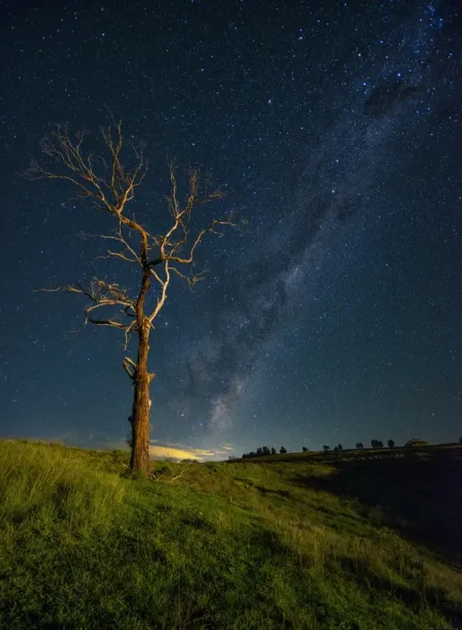 Framed Print : Standing tree with Milky Way Framed Print : Standing tree with Milky Way