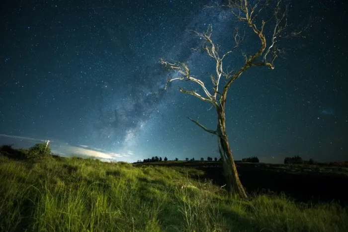 Framed Print : Standing tree with Milky Way Framed Print : Standing tree with Milky Way