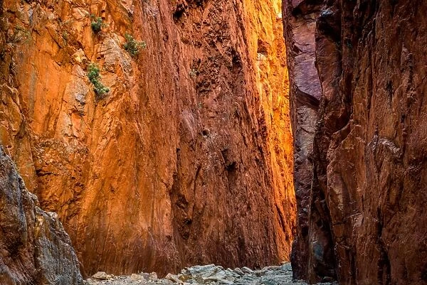 Standley Chasm at West Macdonnell Ranges