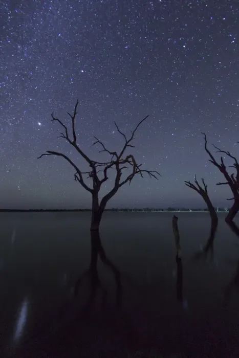 Framed Print : Stargazing