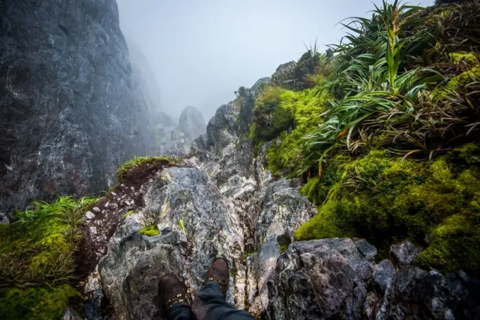 Framed Print : Steep track down to Lake Oberon Western Arthurs Range, Southwest Tasmania