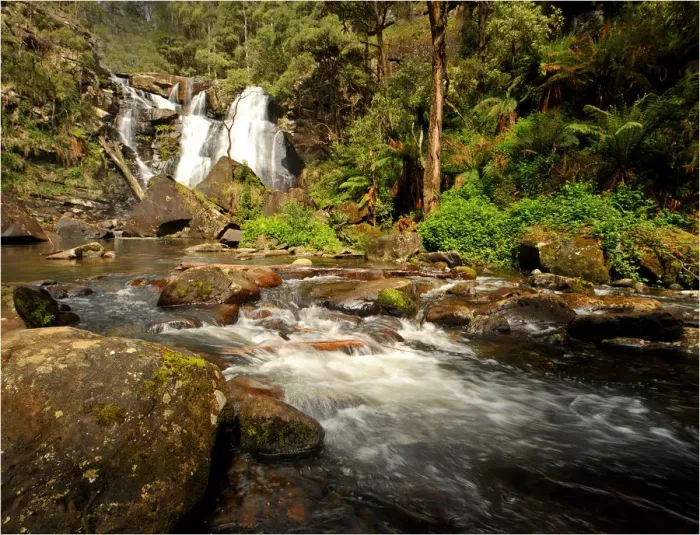 Framed Print : Stephensons creek, Otway Ranges, Victoria, Australia