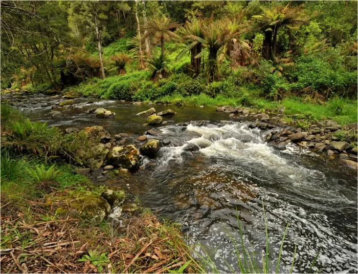 Framed Print : Stephensons creek, Otway Ranges, Victoria, Australia