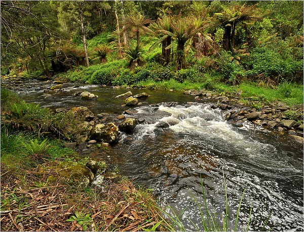 Stephensons creek, Otway Ranges, Victoria, Australia