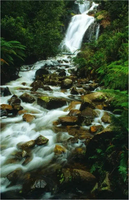 Framed Print : Stephensons waterfall near Marysville, Victoria Australia Framed Print : Stephensons waterfall near Marysville, Victoria Australia