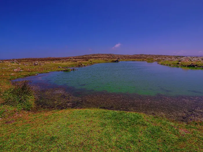 Framed Print : Stokes point coastal ponds, on the southern tip of King Island, Bass Strait, Tasmania, Australia Framed Print : Stokes point coastal ponds, on the southern tip of King Island, Bass Strait, Tasmania, Australia