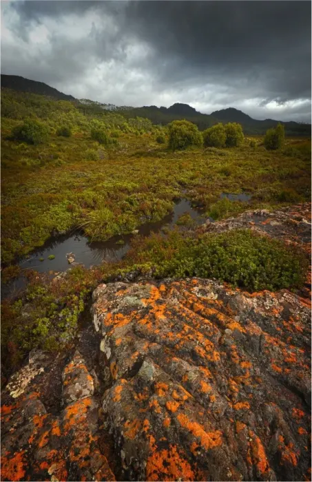 Framed Print : Storm approaching in the Hartz mountains, Tasmania, Australia Framed Print : Storm approaching in the Hartz mountains, Tasmania, Australia