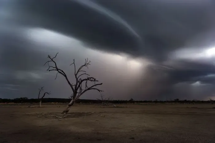Framed Print : storm clouds and lightning with dead tree Framed Print : storm clouds and lightning with dead tree
