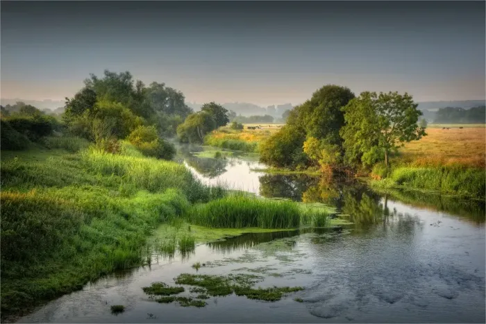 Framed Print : Stour river morning