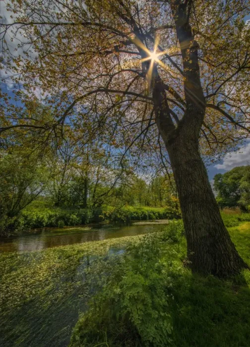 Framed Print : Stour river view