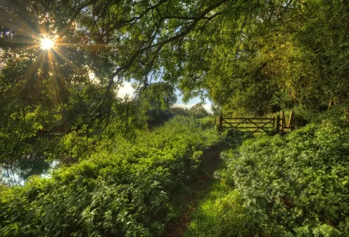 Framed Print : Stour river walk Framed Print : Stour river walk