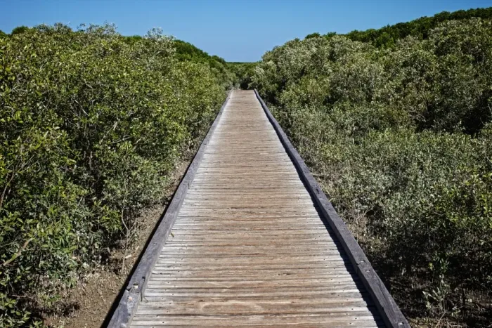 Framed Print : Streeters Jetty View, Broome
